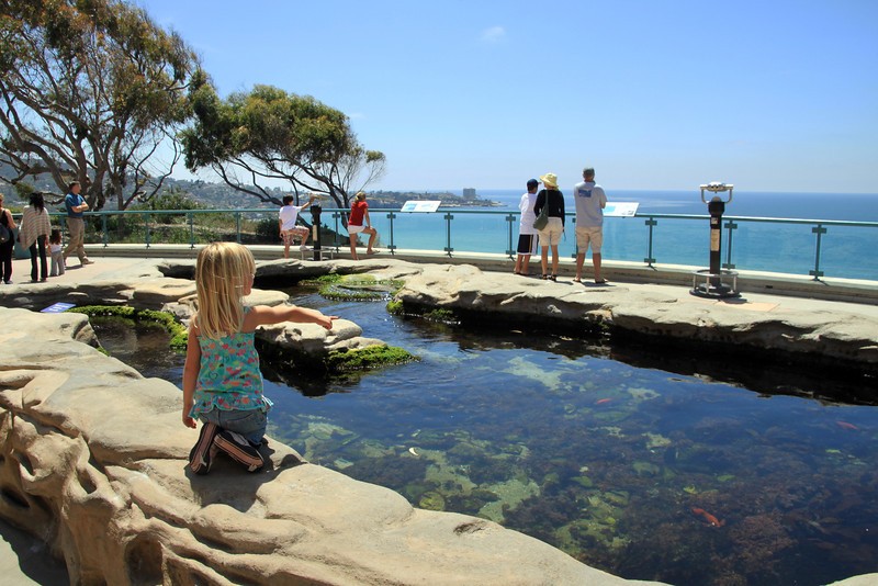 Tide Pool